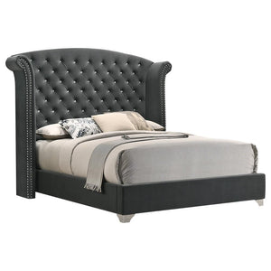 Melody California King, Eastren King, Queen Wingback Upholstered Bed Pacific Blue & Grey