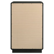 Load image into Gallery viewer, Cavelle Chest