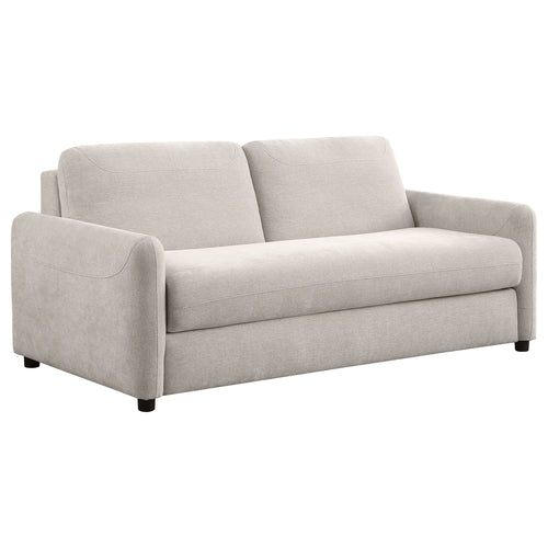 Rylie Sleeper Sofa