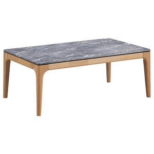 Polaris Coffee Table