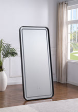 Load image into Gallery viewer, Glendora Mirrors