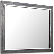 Load image into Gallery viewer, Product image
