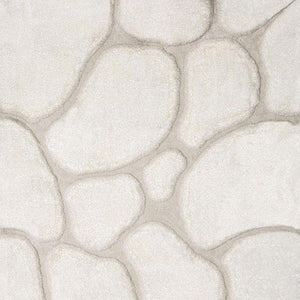 Frederiction Ivory 5' X 8' Area Rug