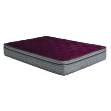 Load image into Gallery viewer, Purple/Grey 13&quot; Euro Pillow Top Mattress Non-Flip, Full
