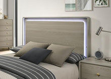 Load image into Gallery viewer, Rainier Bed Gray