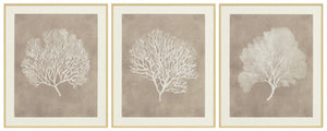 Hendridge Wall Art (Set of 3)