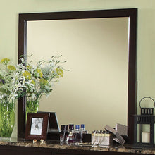 Load image into Gallery viewer, Lemoore Mirror