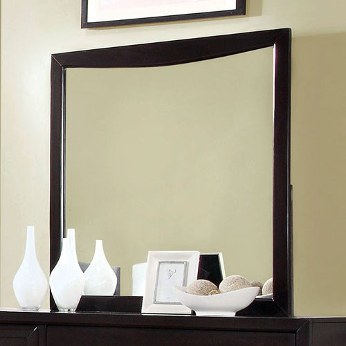 Snyder Mirror