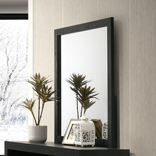 Load image into Gallery viewer, Altimari Mirror