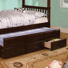 Load image into Gallery viewer, University Twin Trundle w/ 3 Drawers